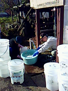 河和田地区で生ゴミ分別収集