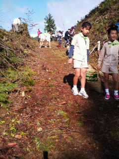 記念の植樹